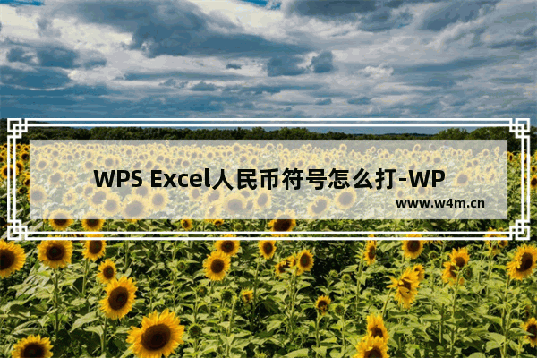 WPS Excel人民币符号怎么打-WPS Excel输入人民币符号的方法