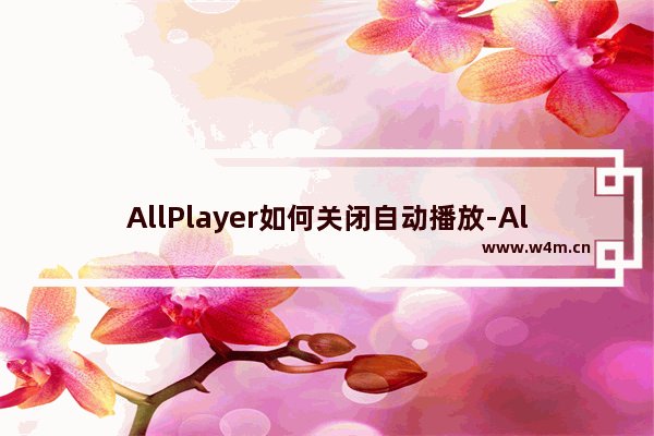 AllPlayer如何关闭自动播放-AllPlayer关闭自动播放的方法