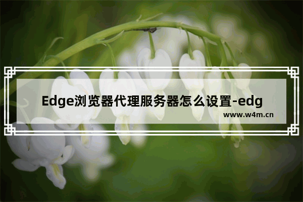 Edge浏览器代理服务器怎么设置-edge浏览器添加代理服务器的方法