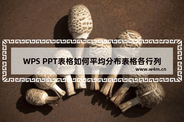 WPS PPT表格如何平均分布表格各行列-WPS PPT表格中平均分布各行各列的方法