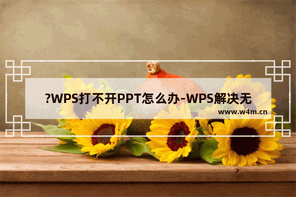 ?WPS打不开PPT怎么办-WPS解决无法正常打开PPT的方法教程