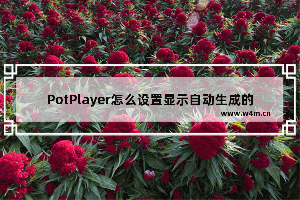 PotPlayer怎么设置显示自动生成的字幕-PotPlayer设置显示自动生成的字幕的方法