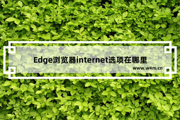 Edge浏览器internet选项在哪里-edge浏览器查找internet选项的方法