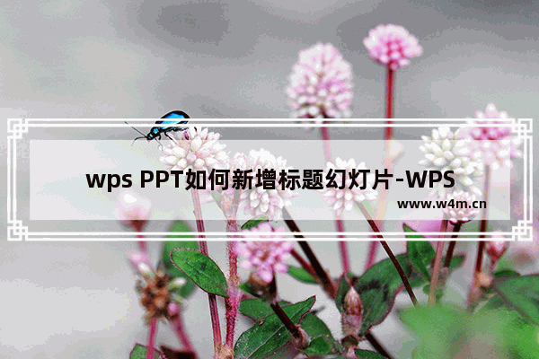 wps PPT如何新增标题幻灯片-WPS PPT新建标题幻灯片的方法