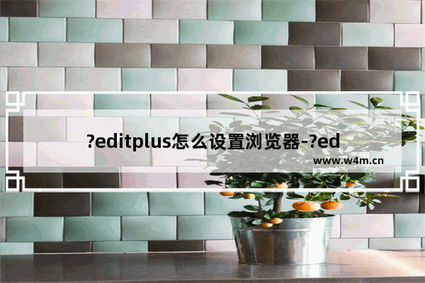 ?editplus怎么设置浏览器-?editplus设置浏览器的方法