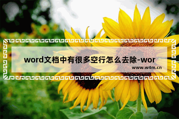 word文档中有很多空行怎么去除-word文档批量删除大量空行的方法