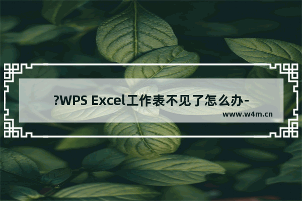 ?WPS Excel工作表不见了怎么办-WPS表格恢复底部的sheet工作表标签的方法教程