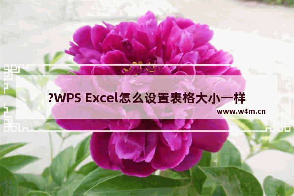 ?WPS Excel怎么设置表格大小一样-WPS表格中调整单元格大小一致的方法教程