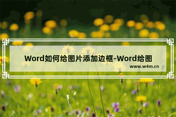 Word如何给图片添加边框-Word给图片添加边框的方法