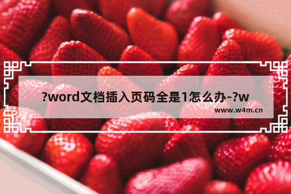 ?word文档插入页码全是1怎么办-?word文档插入页码全是1的解决方法