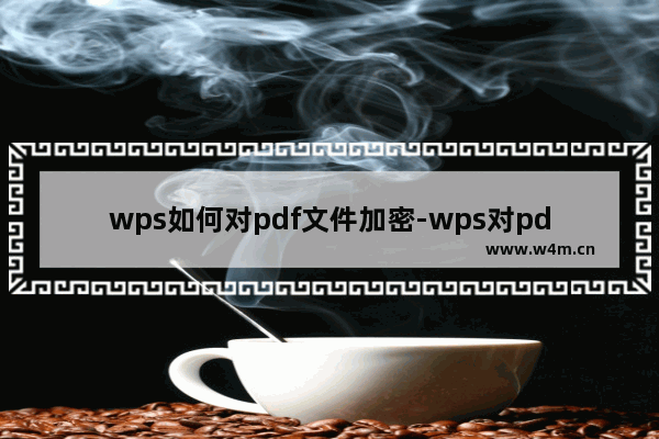 wps如何对pdf文件加密-wps对pdf文件加密的方法