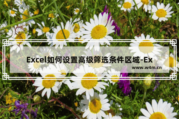 Excel如何设置高级筛选条件区域-Excel设置高级筛选条件区域的方法