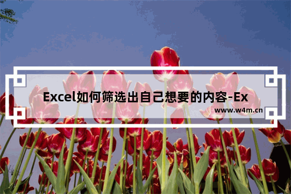 Excel如何筛选出自己想要的内容-Excel筛选出自己想要的内容的方法