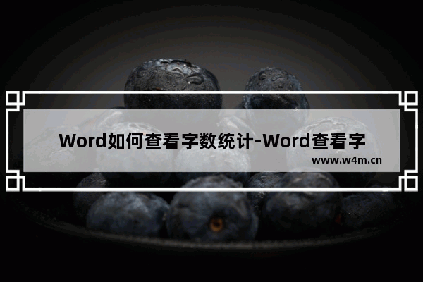 Word如何查看字数统计-Word查看字数统计的方法