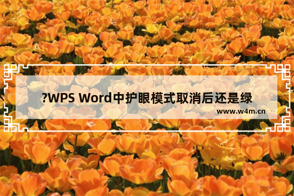 ?WPS Word中护眼模式取消后还是绿色怎么办-WPS文档解决关闭护眼模式还是绿色的方法教程