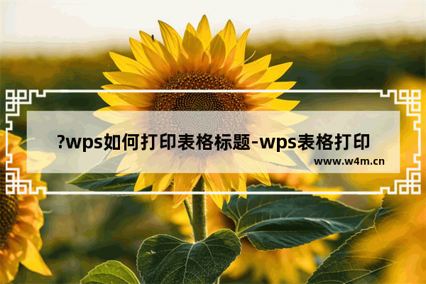 ?wps如何打印表格标题-wps表格打印标题的方法