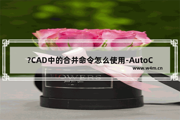 ?CAD中的合并命令怎么使用-AutoCAD中使用合并命名将图形合并为一个整体的方法教程