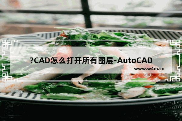 ?CAD怎么打开所有图层-AutoCAD中打开所有图层的方法教程