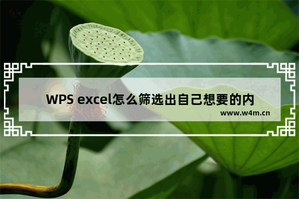 WPS excel怎么筛选出自己想要的内容-WPS Excel快速筛选自己想要的内容的方法