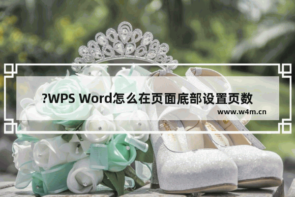 ?WPS Word怎么在页面底部设置页数-WPS文档在底下插入页码的方法教程