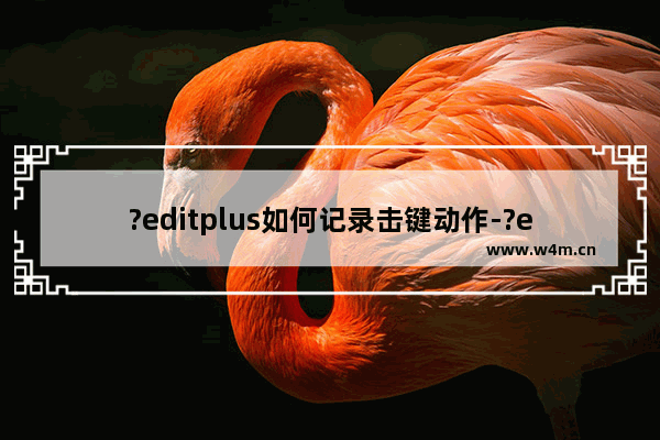 ?editplus如何记录击键动作-?editplus记录击键动作的方法