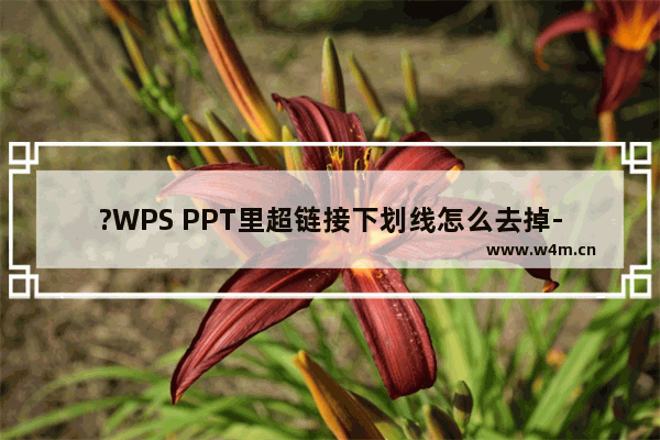 ?WPS PPT里超链接下划线怎么去掉-WPS演示文稿中去掉超链接的下划线的方法教程