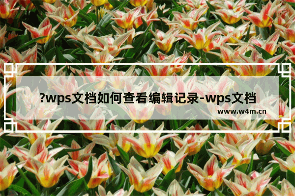 ?wps文档如何查看编辑记录-wps文档查看编辑记录的方法