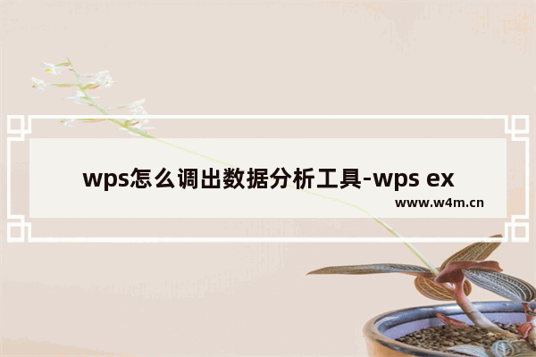 wps怎么调出数据分析工具-wps excel调出数据分析工具的方法