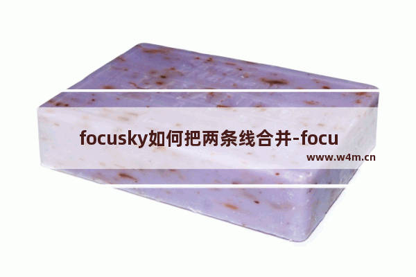 focusky如何把两条线合并-focusky把两条线合并的方法