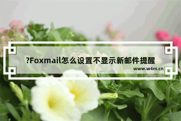 ?Foxmail怎么设置不显示新邮件提醒窗口-Foxmail邮箱取消新邮件提醒窗口的方法教程