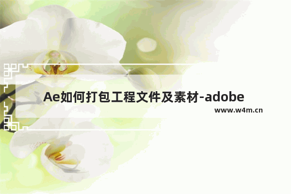 Ae如何打包工程文件及素材-adobe after effects打包工程文件和素材的方法