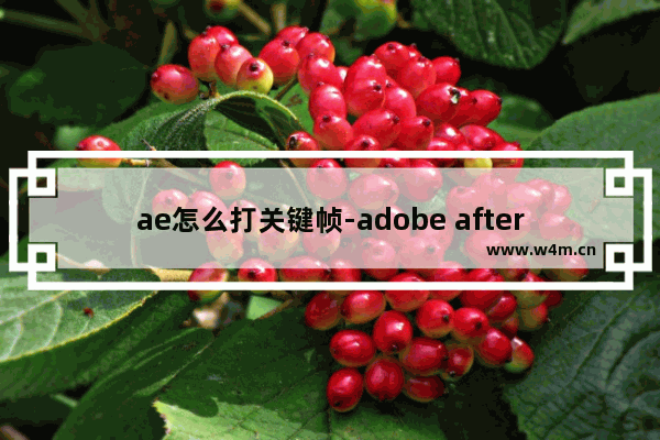 ae怎么打关键帧-adobe after effects添加关键帧的方法