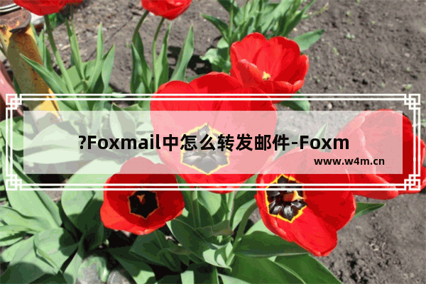 ?Foxmail中怎么转发邮件-Foxmail邮箱中转发邮件的方法教程