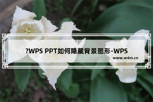 ?WPS PPT如何隐藏背景图形-WPS演示文稿中隐藏背景图形的方法教程