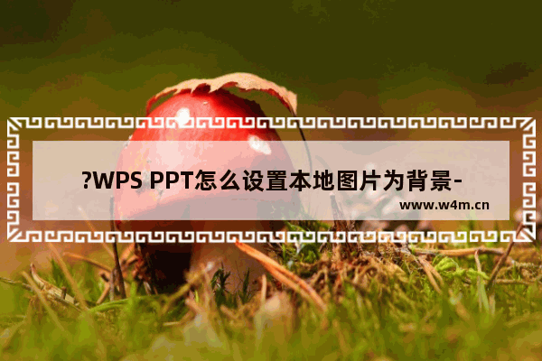 ?WPS PPT怎么设置本地图片为背景-WPS演示文稿将本地图片设置为背景图片的方法教程