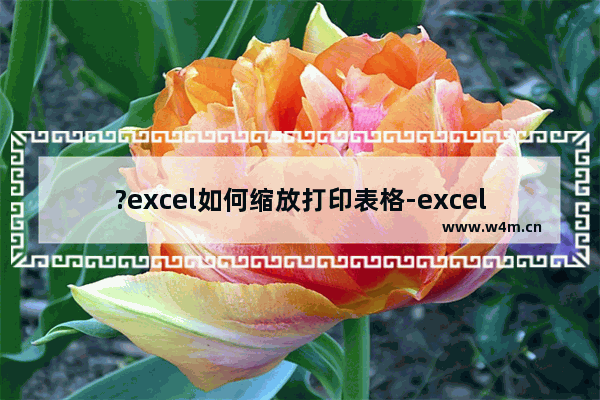 ?excel如何缩放打印表格-excel表格放大打印的方法