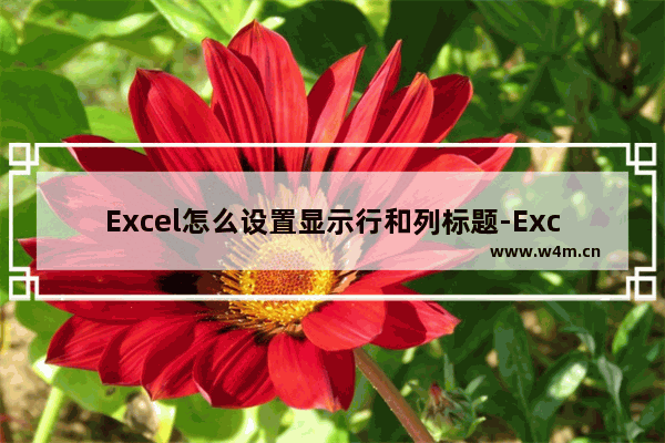 Excel怎么设置显示行和列标题-Excel设置显示行和列标题的方法