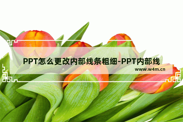 PPT怎么更改内部线条粗细-PPT内部线条粗细设置的方法