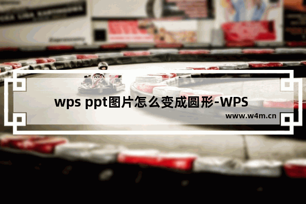 wps ppt图片怎么变成圆形-WPS PPT中把图片变成圆形的方法