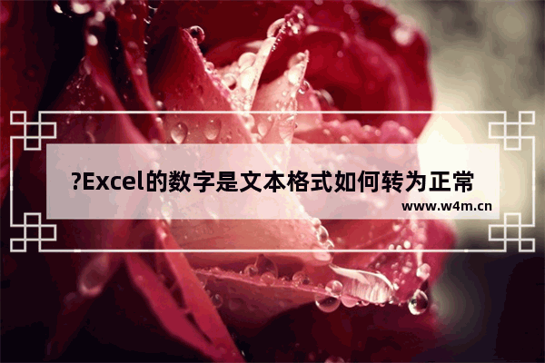 ?Excel的数字是文本格式如何转为正常数字格式-Excel表格将文本型数字转为数值型的方法教程