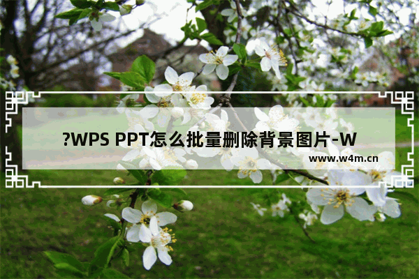 ?WPS PPT怎么批量删除背景图片-WPS演示文稿快速删除背景图片的方法教程