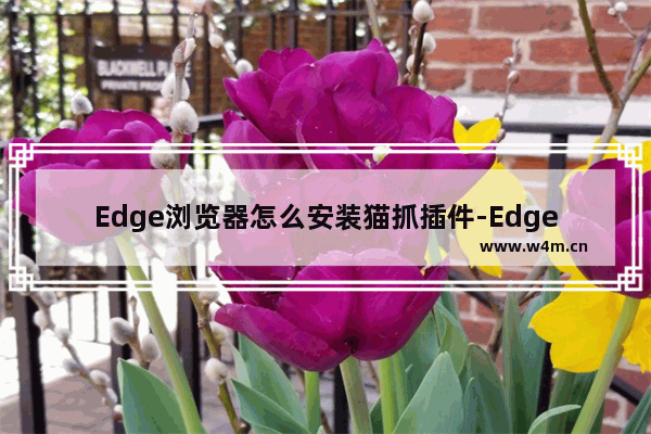 Edge浏览器怎么安装猫抓插件-Edge浏览器安装猫抓插件的方法