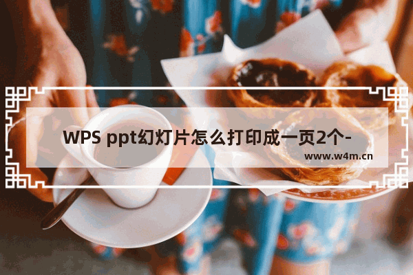 WPS ppt幻灯片怎么打印成一页2个-WPS PPT设置一页打印2张幻灯片的方法