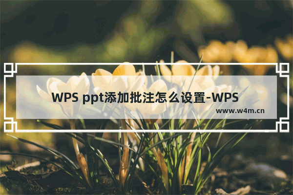 WPS ppt添加批注怎么设置-WPS PPT中插入批注的方法