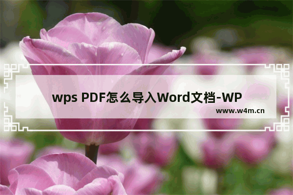 wps PDF怎么导入Word文档-WPS PDF中导入Word文档的方法