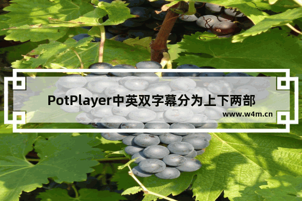 PotPlayer中英双字幕分为上下两部分怎么办-PotPlayer外挂中英双字幕都在页面下方显示的方法