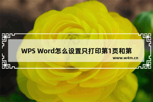 WPS Word怎么设置只打印第1页和第3页-WPS Word设置只打印第1页和第3页的方法