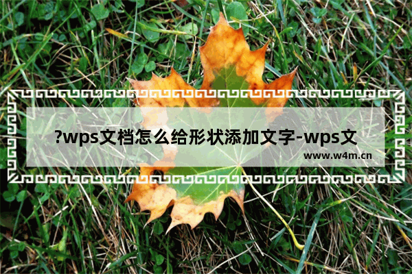 ?wps文档怎么给形状添加文字-wps文档给形状添加文字的方法