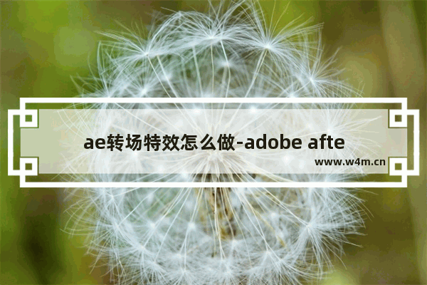 ae转场特效怎么做-adobe after effects添加转场效果的方法