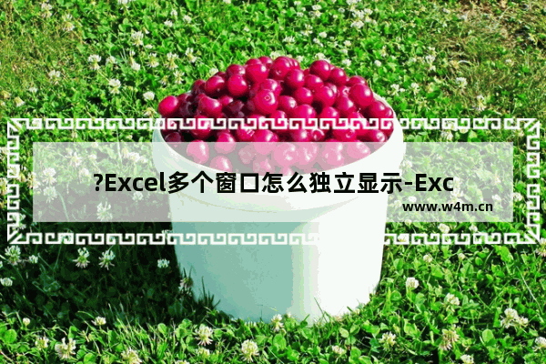 ?Excel多个窗口怎么独立显示-Excel表格让两个窗口独立显示的方法教程